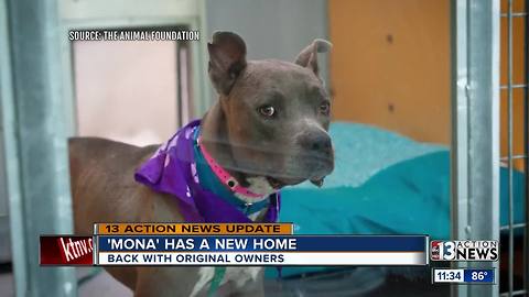 Mona has a new home with original owners