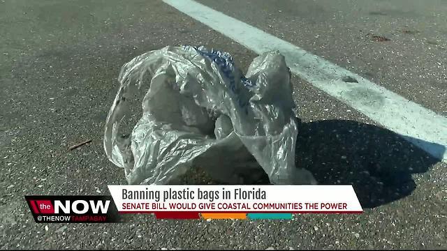 This city could be the 1st in Florida to ban plastic bags