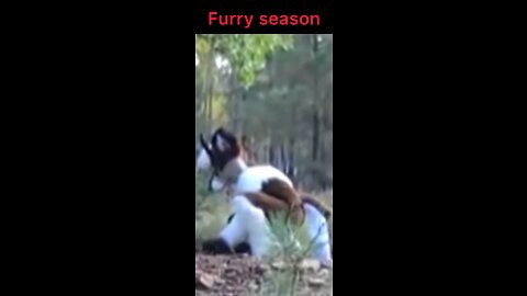 Furry season