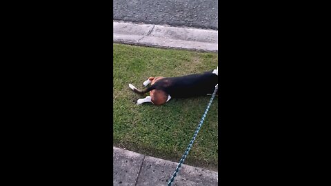 after walk roll