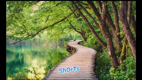 Beautiful Nature shorts, whatsapp status video,#viral shorts in2022