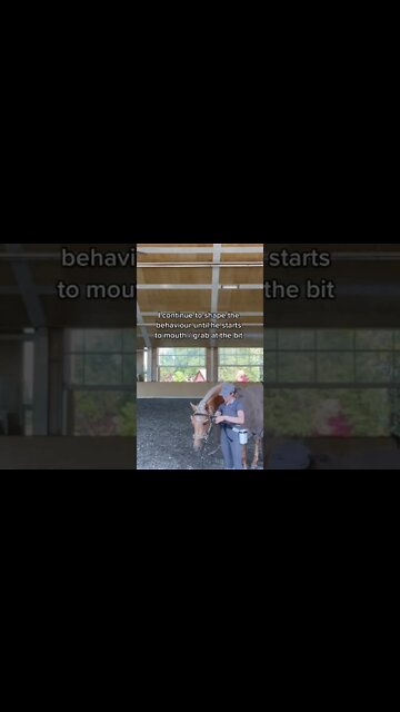 Teaching A Horse To Self Bridle