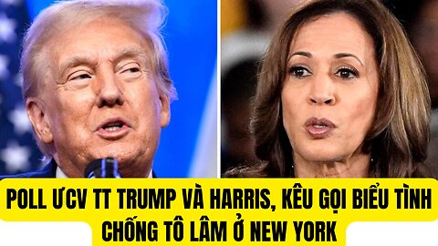 Tin Tổng Hợp 21/9/2024 Poll UCV Trump Và Harris,Kêu Gọi Biểu Tình Chống Tô Lâm ở New York.