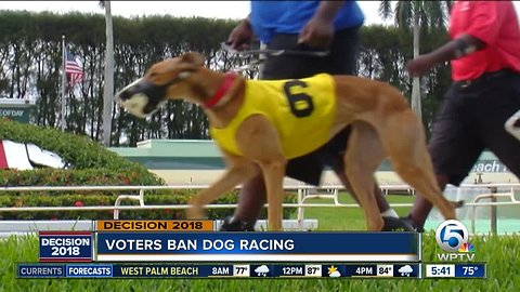 Voters ban dog racing in Florida