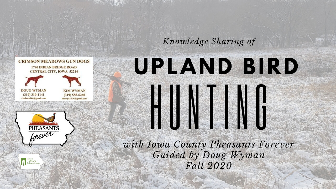 Iowa Outdoor Adventures - Doug Wyman Iowa County Pheasant Hunt