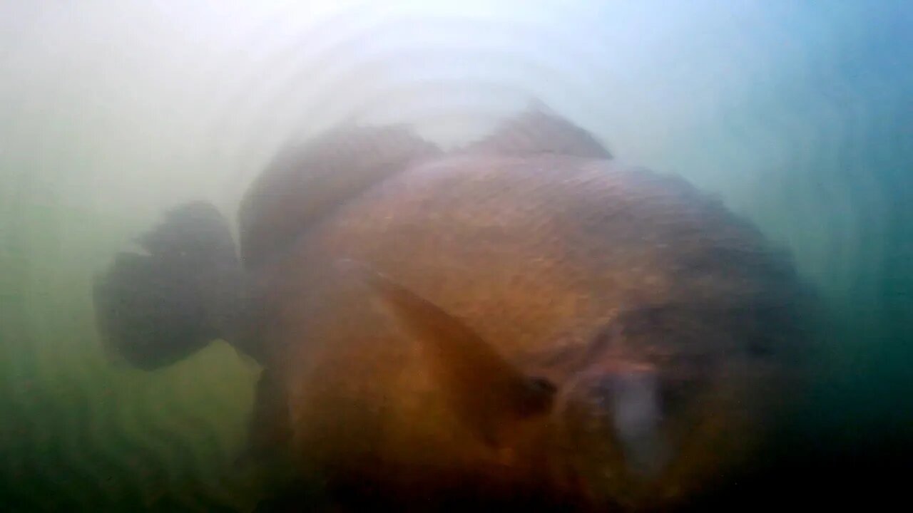 I put a Camera beneath the Dam (Surprising Results)