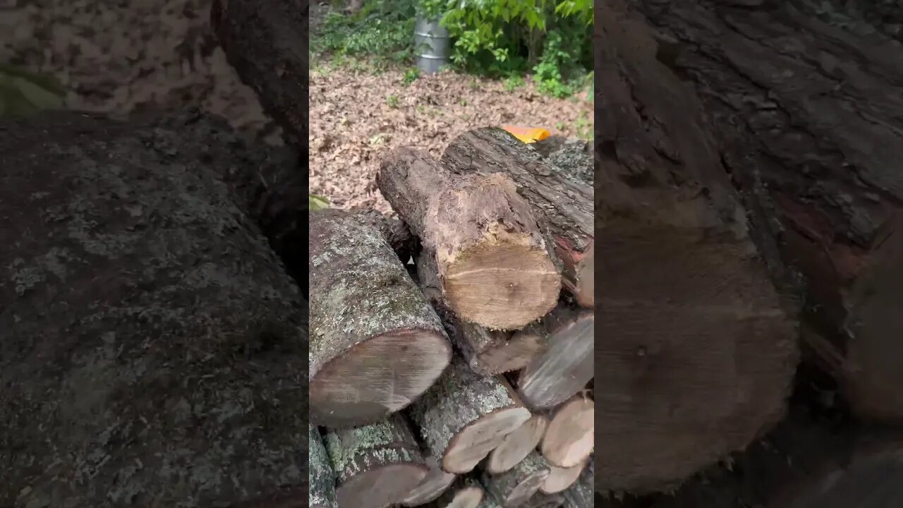 Progress on the wood pile, country life in Louisiana ￼