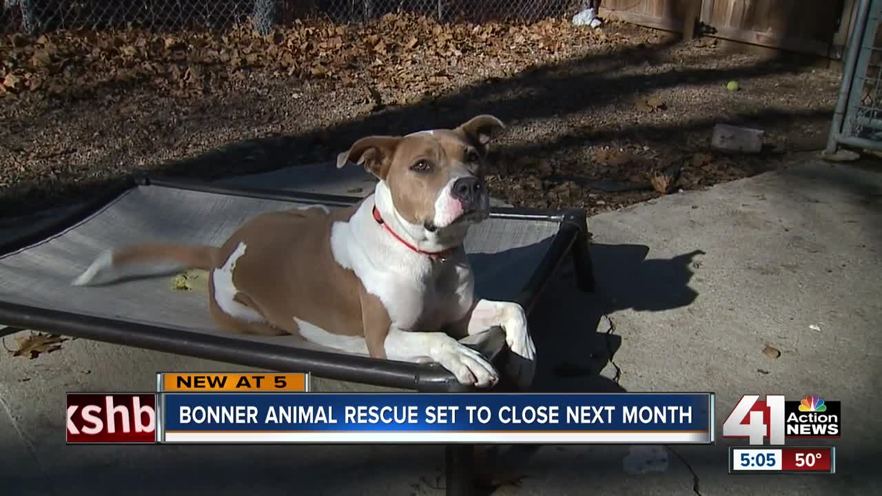 Bonner Animal Rescue closing shelter Dec. 31, calls on city to establish permanent shelter