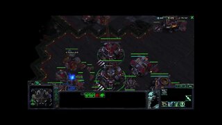 Session 1: Starcraft II (1v1 matchmaking as random) - -