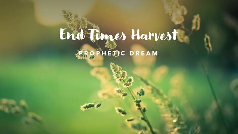 Prophetic End Times Dream