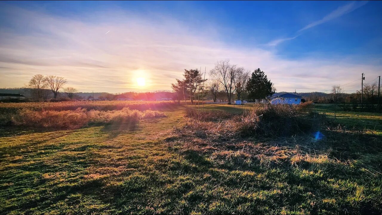 131 Bob's LIVE: Meadow Garden Cleanup