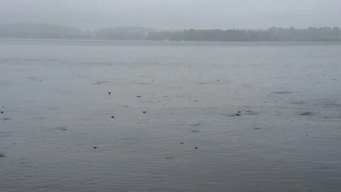 NEW BTS SOOTHING SOUNDS.. RAIN THE OCEAN. FALL ASLEEP FAST