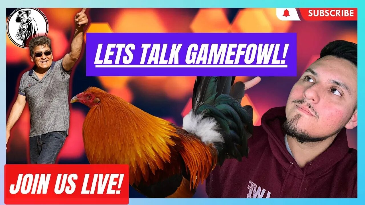 GAMEFOWL STREAM // Join Us Live Q&A