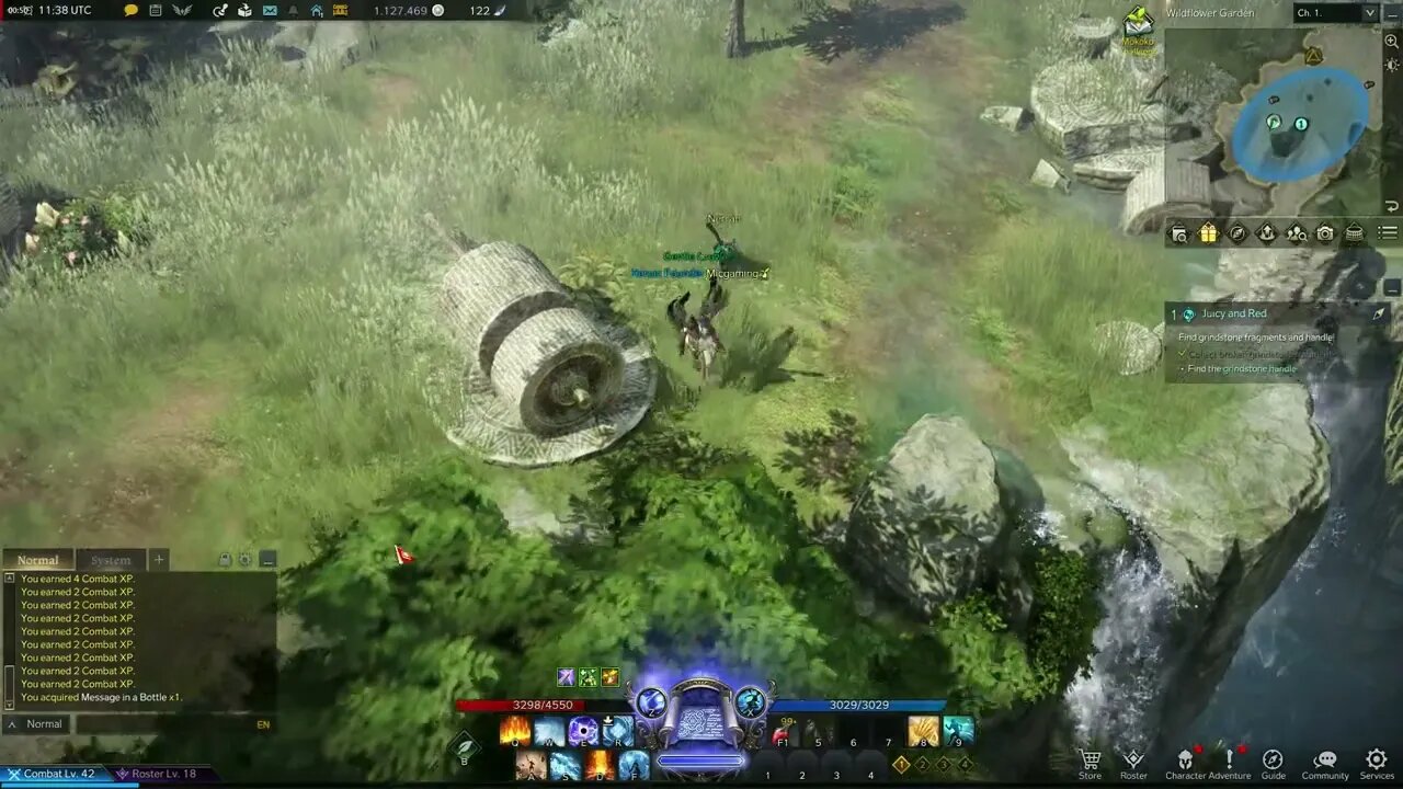 Lost Ark MMORPG Juicy and Red