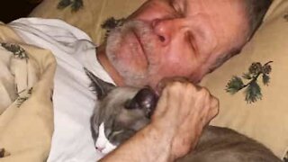 Mand med fremskreden Alzheimers genkender kat