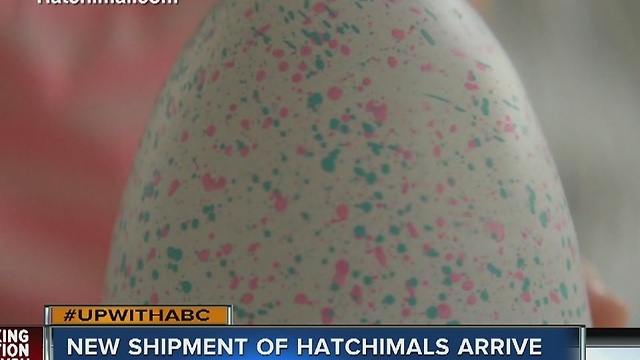 Toys R Us shelves cleared quickly of Hatchimals