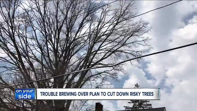 City of Berea wants to cut down trees on private property at risk of falling, residents say no