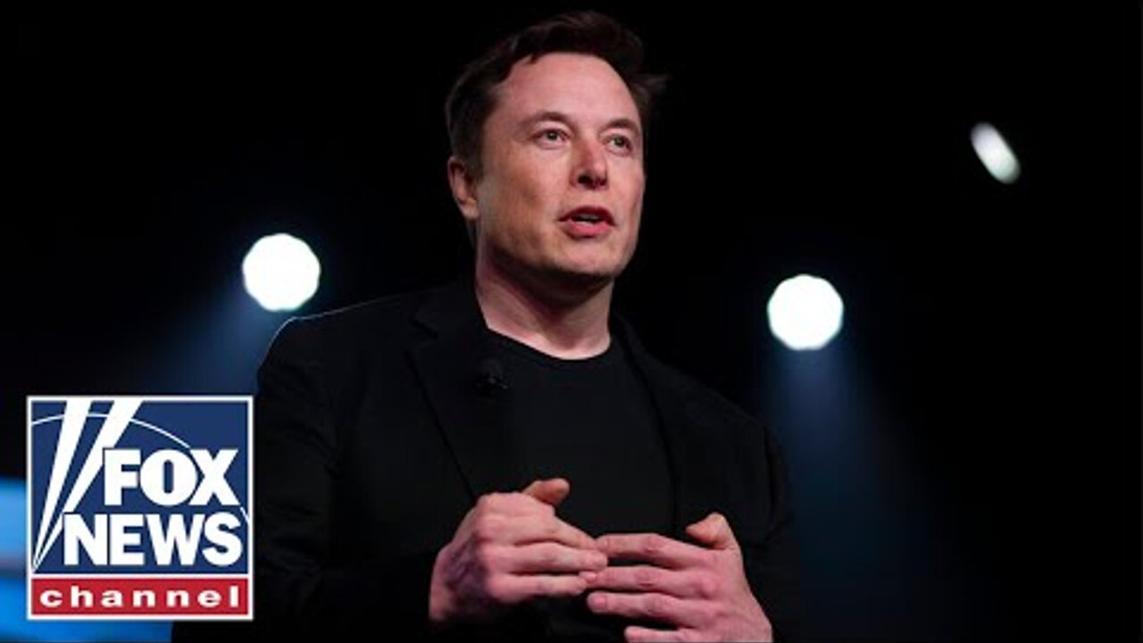 The real reason Twitter can't allow Elon Musk to take over: Murray - 🆕 Fox News