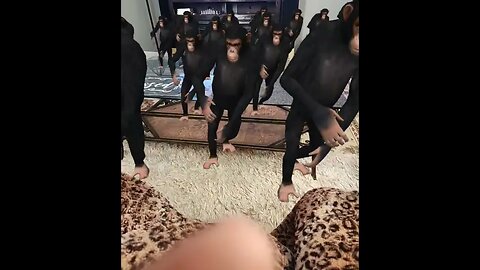 Dancing monkeys #Shorts #NewVideo # Very funny #nature