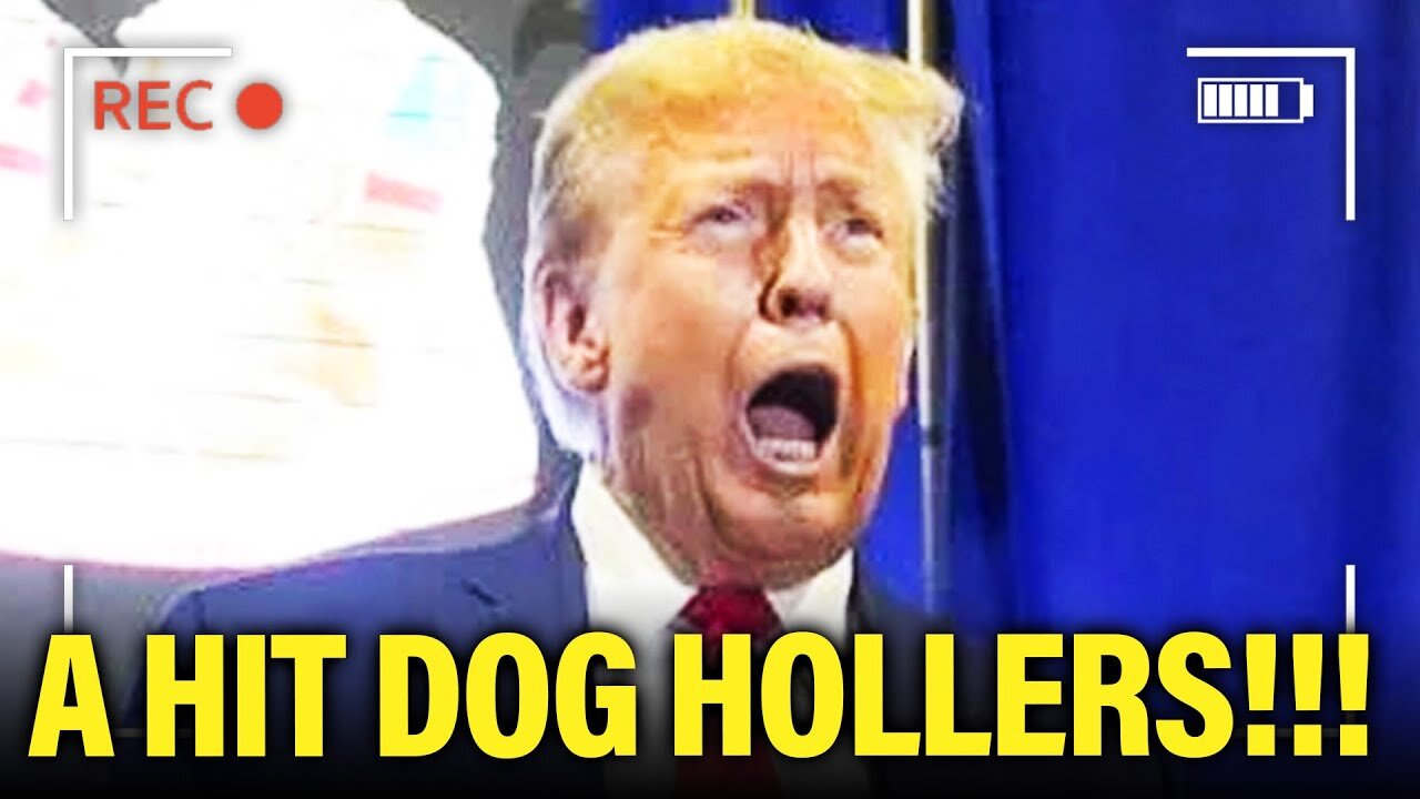 Trump EXPOSES His OWN DECLINE in Oddest Way