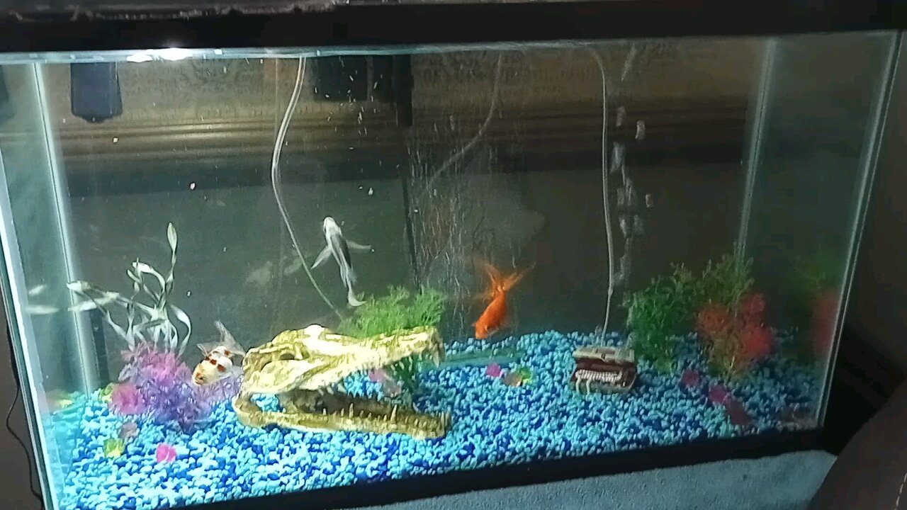 Tank Upgrade