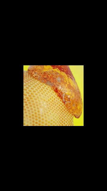 Beverage Demo #shorts #viral