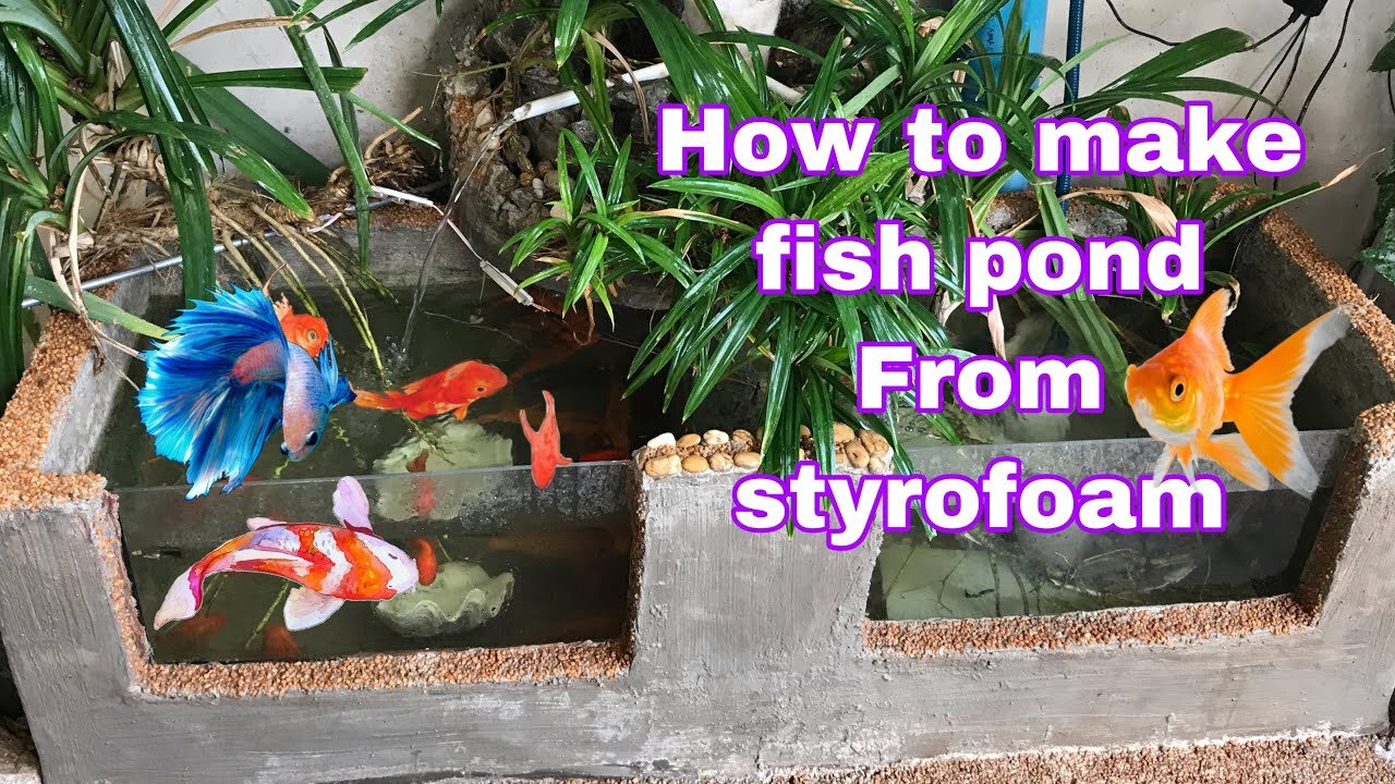 How To Build A Beautiful Aquarium At Home Easily