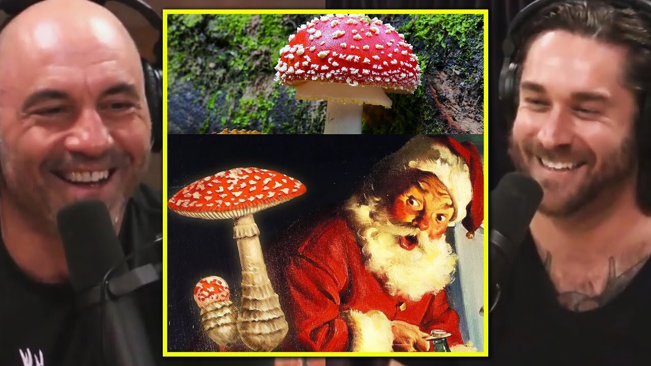 Joe Rogan: Did SANTA Come From Magic MUSHROOMS?! WILD Origin Story