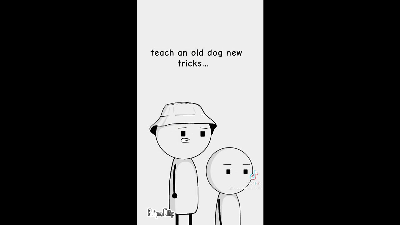 My new dog