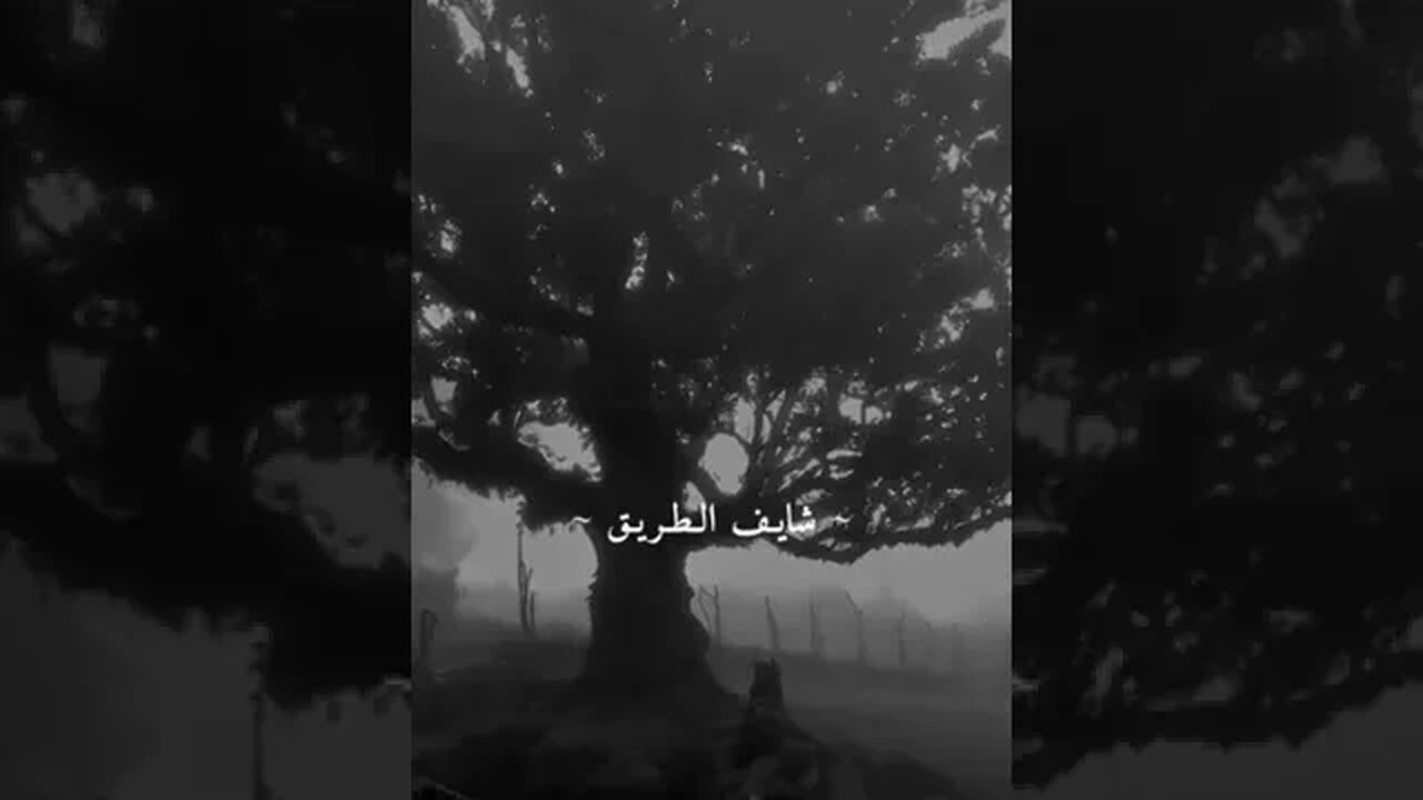وحدي في ايامي الجاي
