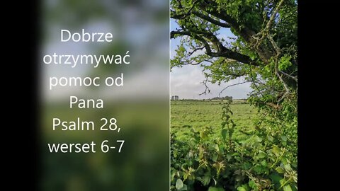 Dobrze otrzymywać pomoc od Pana -Psalm 28, werset 6- 7