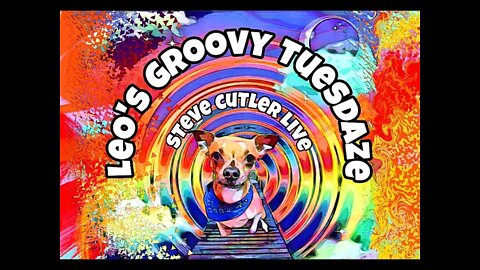 Leo's Groovy Tuesday