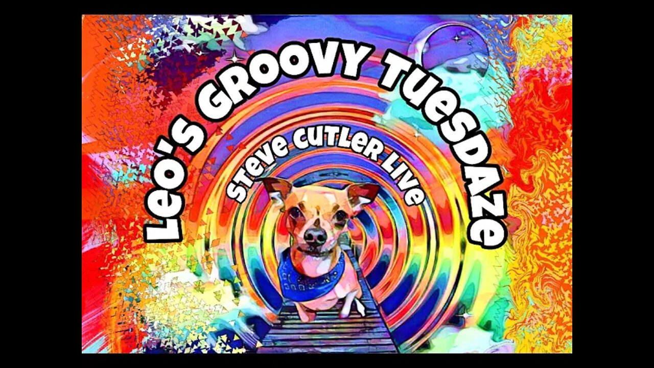Leo's Groovy Tuesday