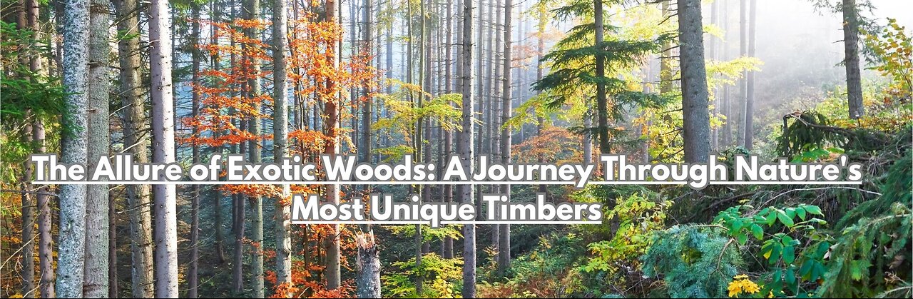 The Allure of Exotic Woods: A Journey Through Nature's Most Unique Timbers