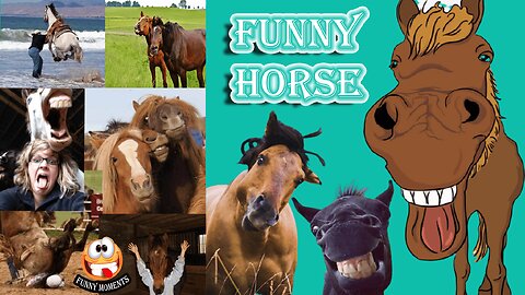 Funny Horse Videos of 2023 Weekly Compilation