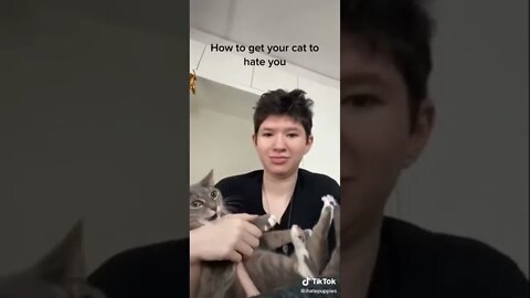 Cat Gets Tickled I TikTok