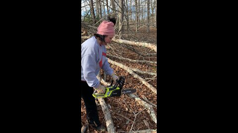 Battery chainsaw