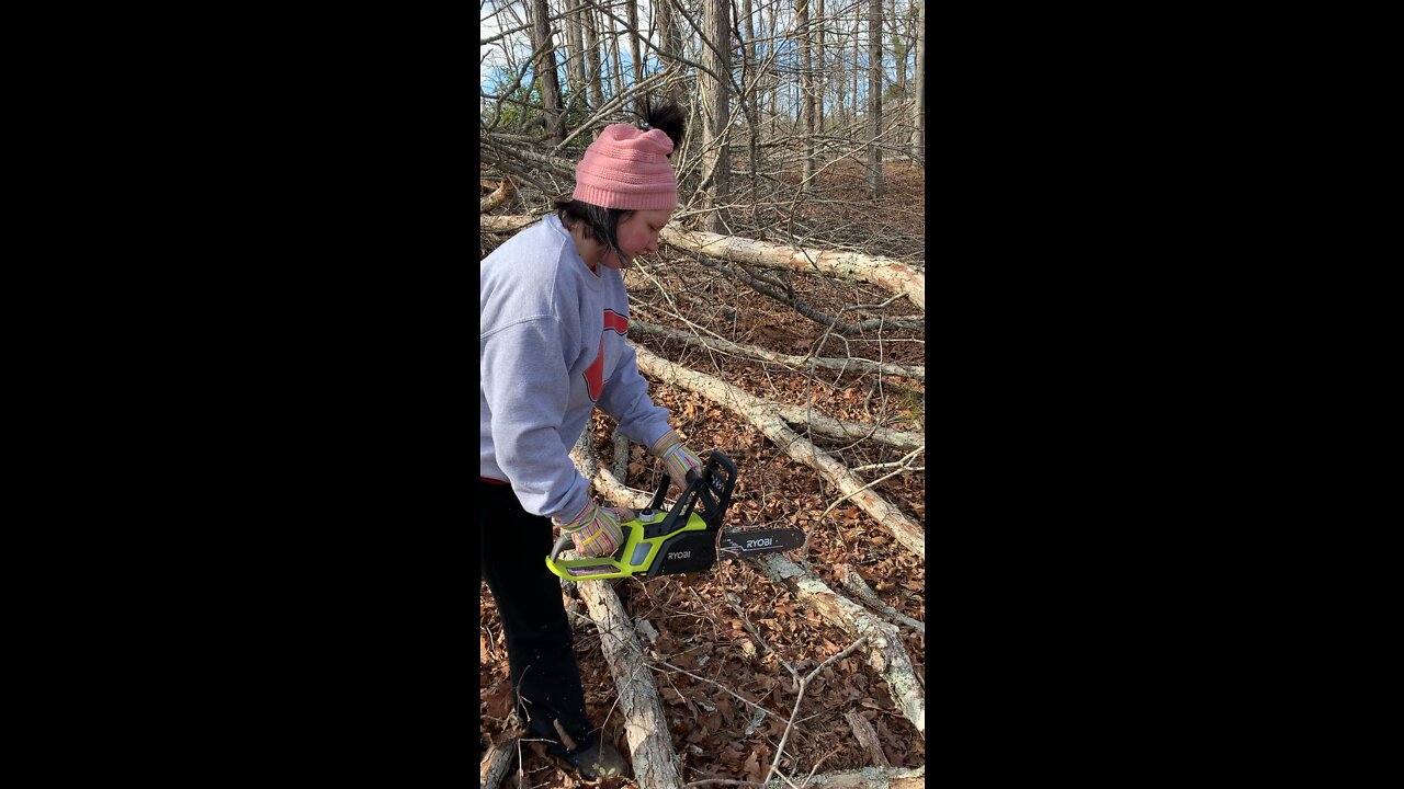 Battery chainsaw