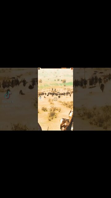 Bannerlord mods from TikTok 6