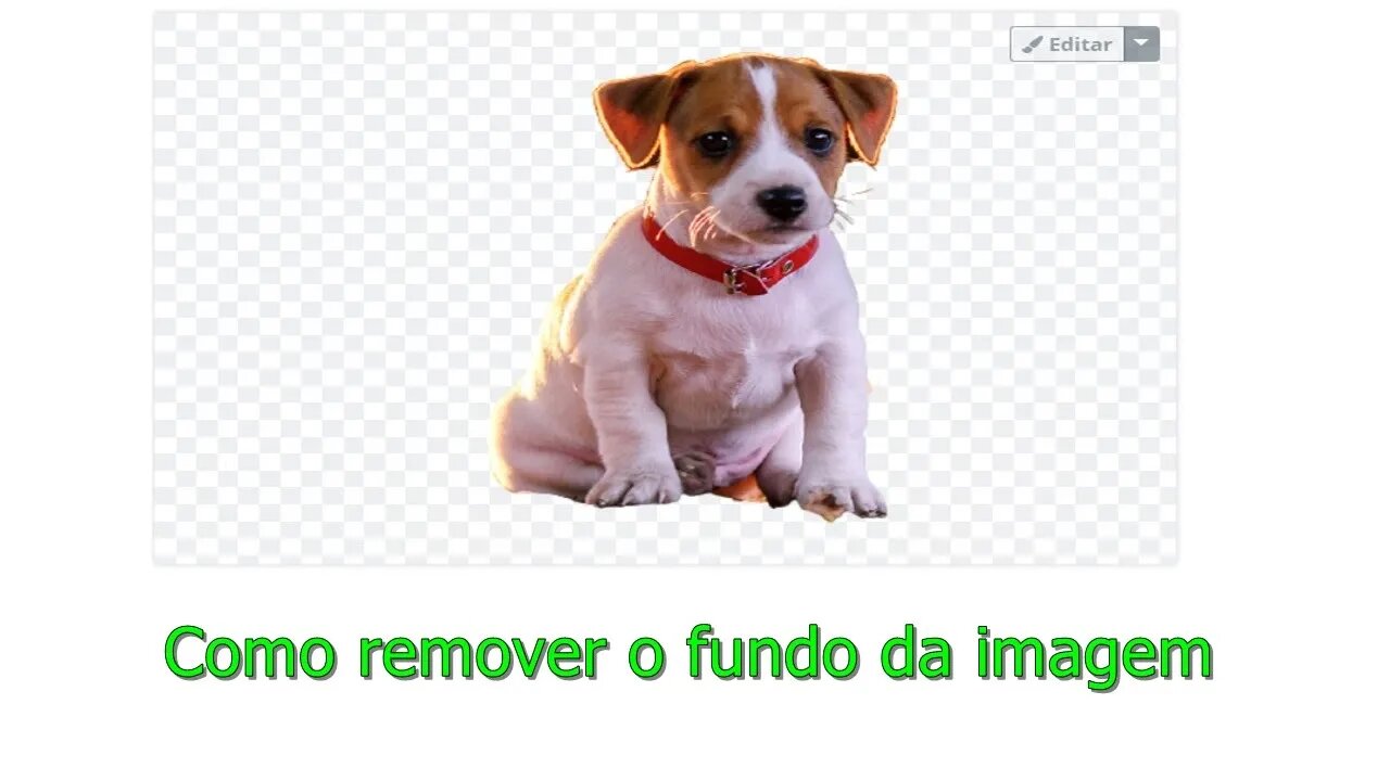 Como REMOVER o FUNDO da FOTO no CELULAR ou computador