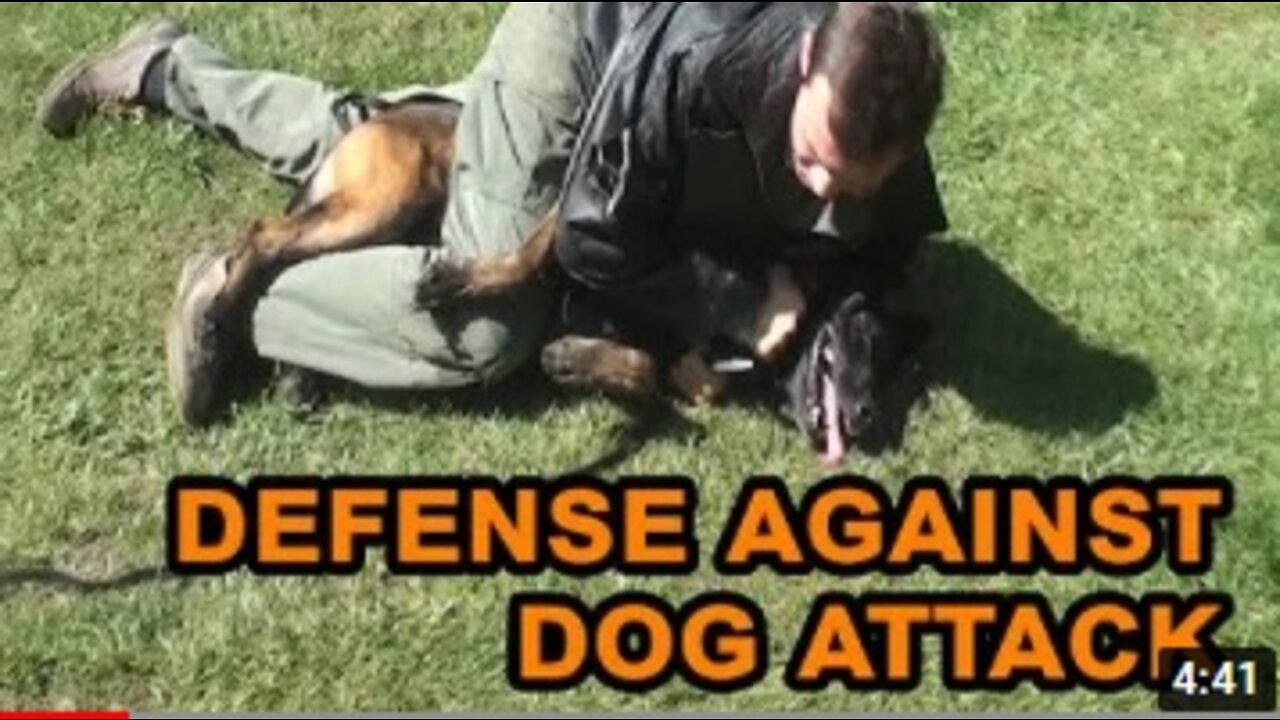 How to defend against a dog Self defense against dog attack