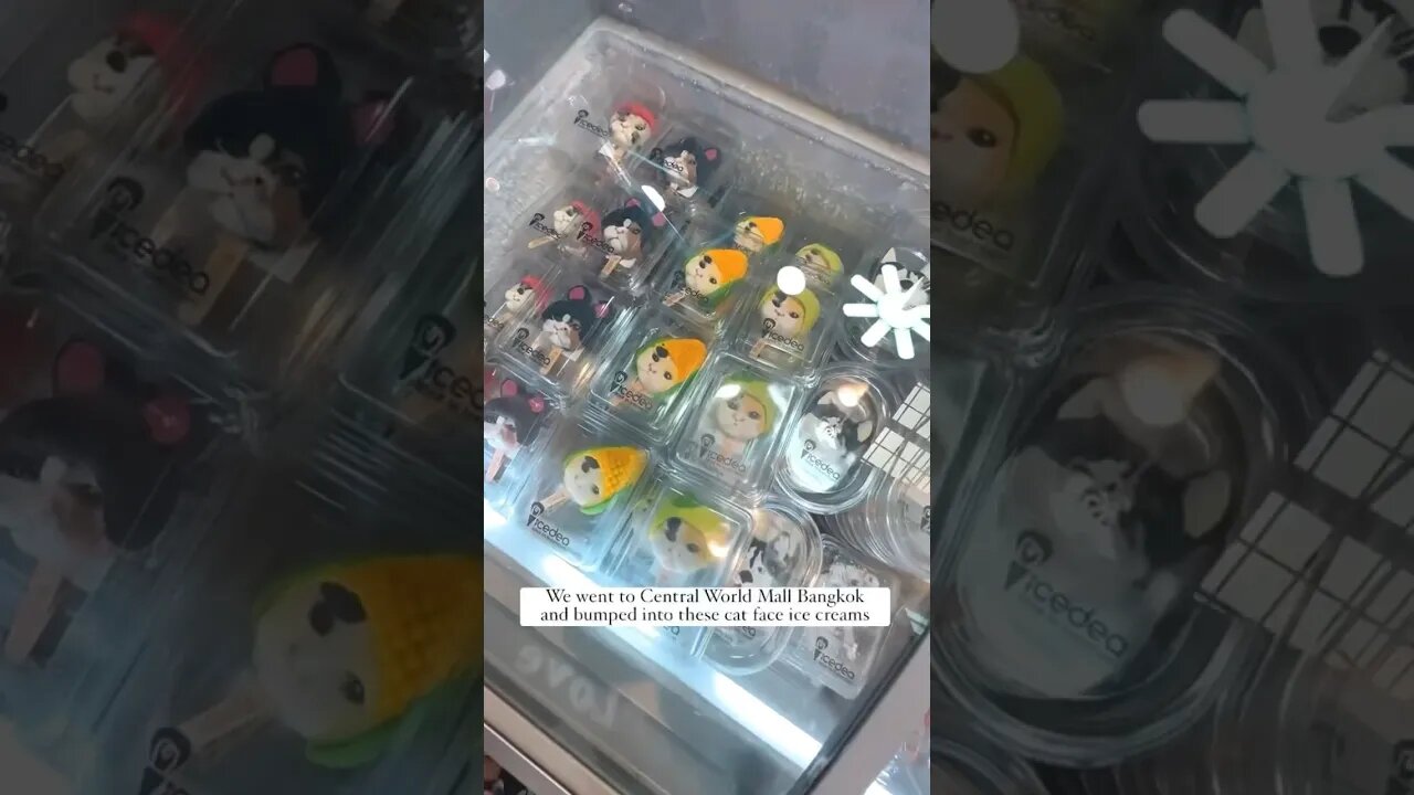 We ate a cat in Thailand 🇹ðŸ‡