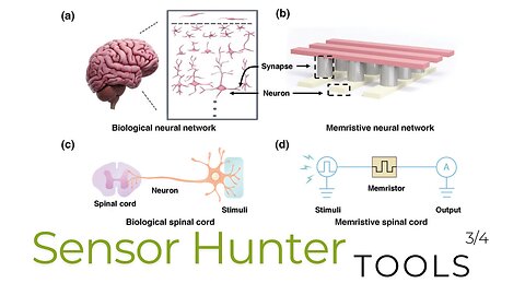 Sensor hunter tools 3/4