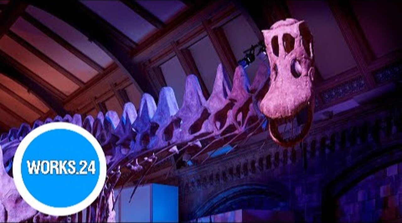 Time-lapse: 'Gigantic' titanosaur assembled in London museum | Works24