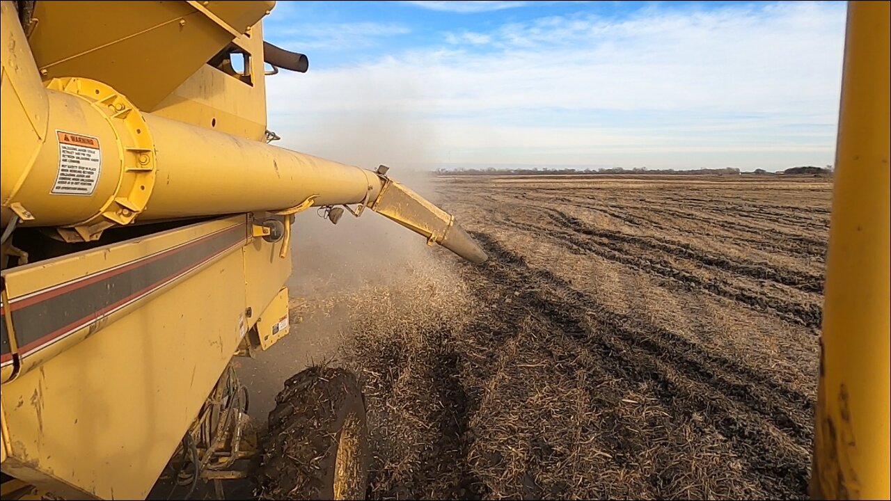 The Temperture Drops and The Last Soybean Is finally Able To Be Harvested ( Just Barely)!