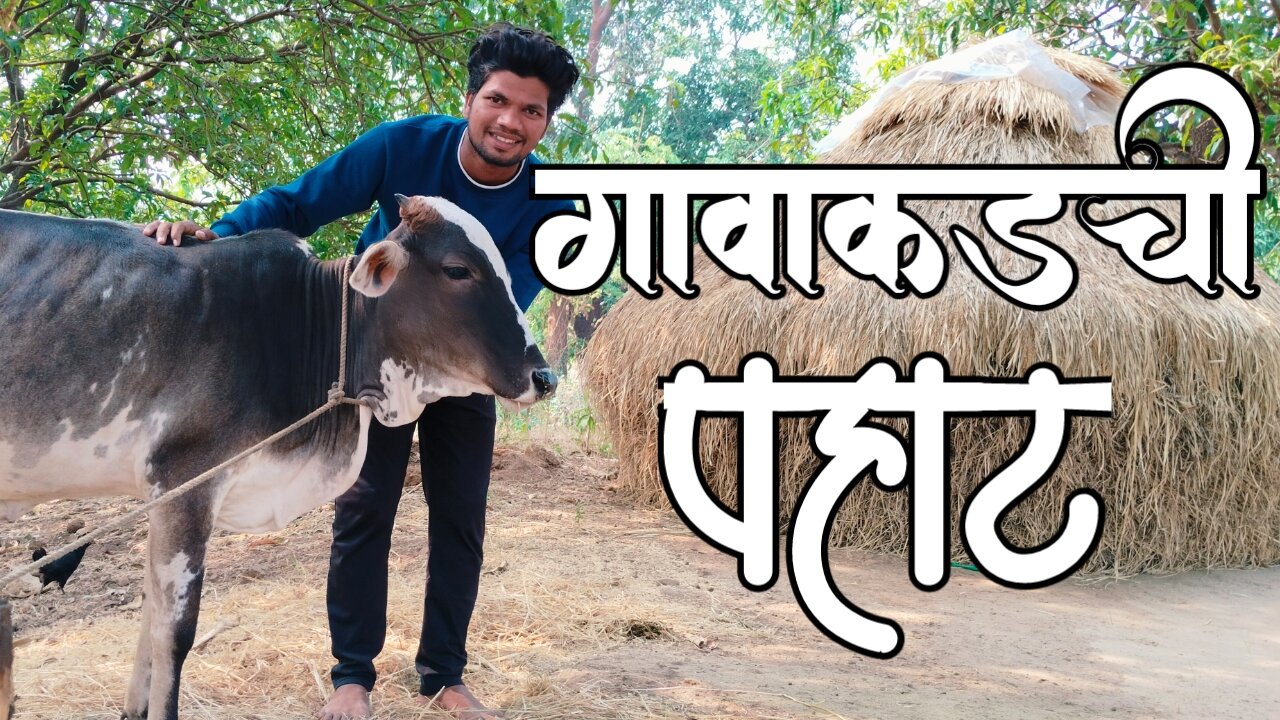 गावाकडची पहाट||बघा गावाकडे कशी कामे केली जातात🤗🌿