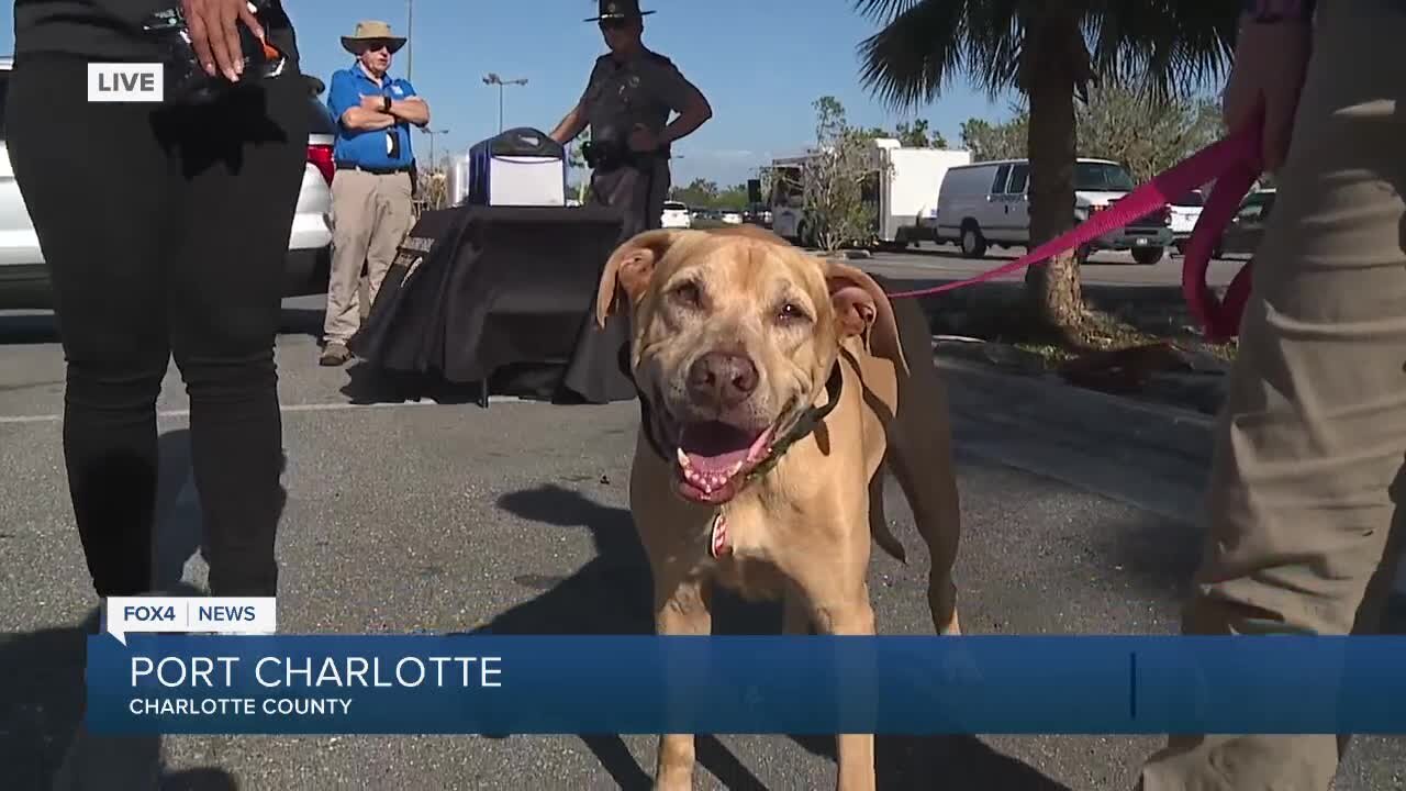 Charlotte County Sheriff's Office hosts a family-friend expo