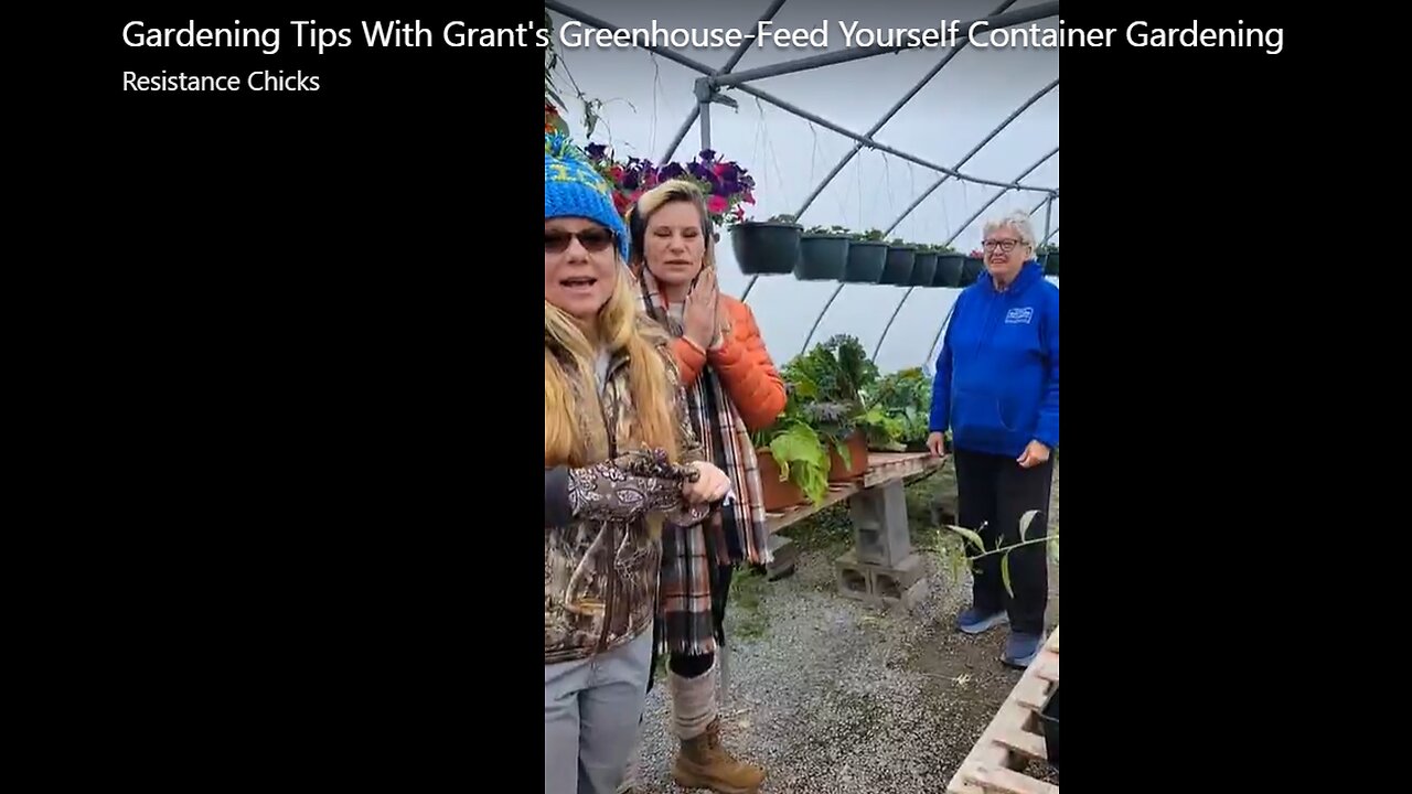 Gardening Tips With Grant's Greenhouse-Feed Yourself Container Gardening