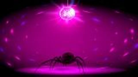 Spiders Be Twerkin'