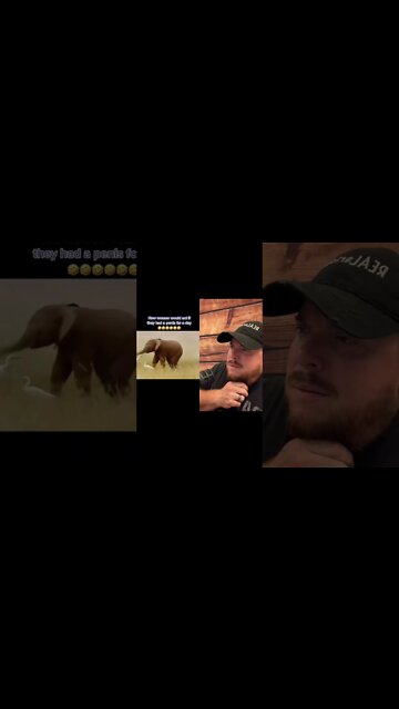 Here’s Your Dose Of REALarious…🤣🤣🤣